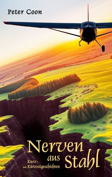 Produktbild: Nerven aus Stahl
