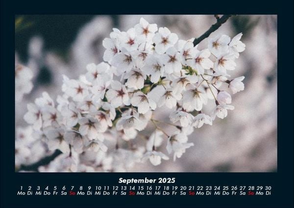 Produktbild: Blumenkalender 2025 Fotokalender DIN A4