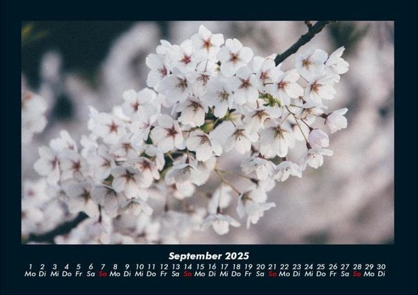 Produktbild: Blumenkalender 2025 Fotokalender DIN A4