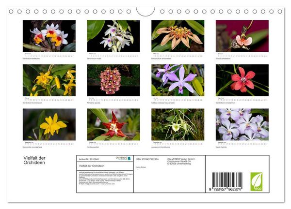 Produktbild: Vielfalt der Orchideen (Wandkalender 2026 DIN A4 quer), CALVENDO Monatskalender