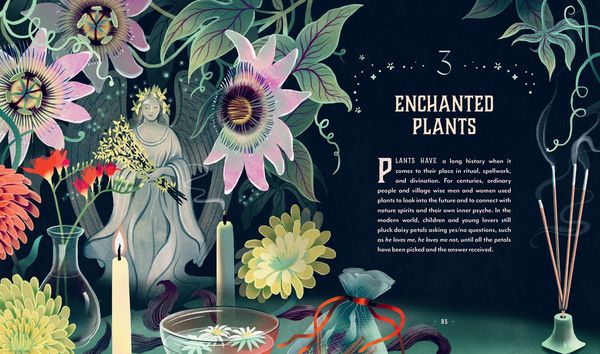 Produktbild: Plant Magic