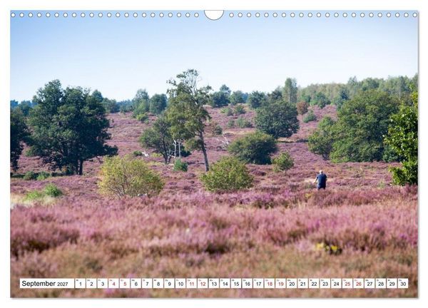Produktbild: Radland Deutschland - L&uuml;neburger Heide (Wandkalender 2027 DIN A3 quer), CALVENDO Monatskalender