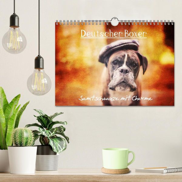 Produktbild: Deutscher Boxer (Wandkalender 2026 DIN A4 quer), CALVENDO Monatskalender