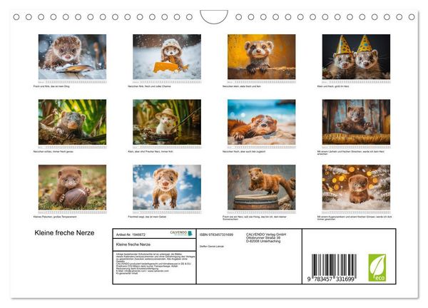 Produktbild: Kleine freche Nerze (Wandkalender 2026 DIN A4 quer), CALVENDO Monatskalender