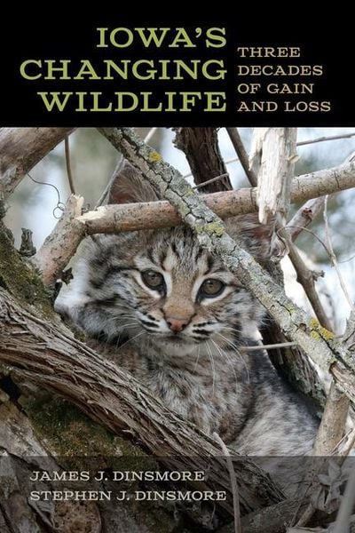 Produktbild: Iowa`s Changing Wildlife - Three Decades of Gain and Loss
