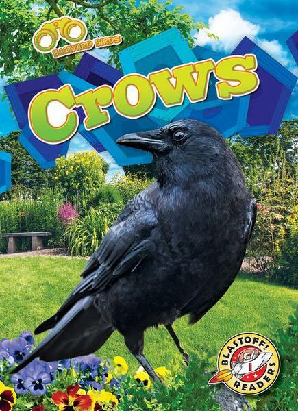 Produktbild: Crows