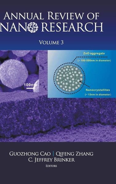 Produktbild: Annual Review Of Nano Research (v3)