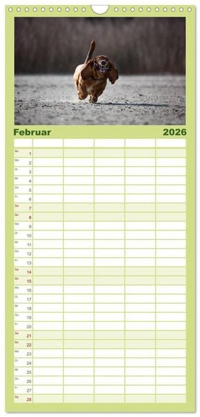 Produktbild: Familienplaner 2026 - POWERHUNDE 2026 mit 5 Spalten (Wandkalender, 21 x 45 cm) CALVENDO