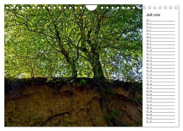 Produktbild: Landschaften des Kraichgaus (Wandkalender 2026 DIN A4 quer), CALVENDO Monatskalender