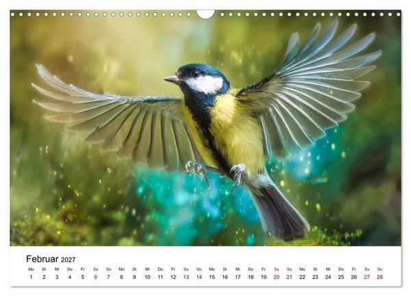 Produktbild: Federleicht - Das geheime Leben der Meisen (Wandkalender 2027 DIN A3 quer), CALVENDO Monatskalender