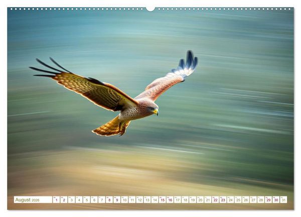 Produktbild: Die Poesie und Kraft des Windes - Windkraft in Bewegung (hochwertiger Premium Wandkalender 2026 DIN A2 quer), Kunstdruck in Hochglanz