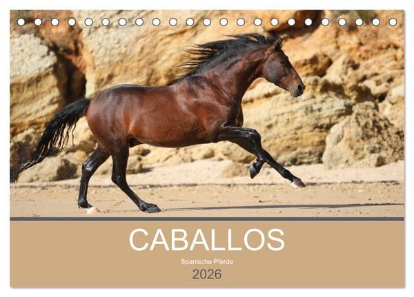 Caballos Spanische Pferde 2026 (Tischkalender 2026 DIN A5 quer), CALVENDO Monatskalender