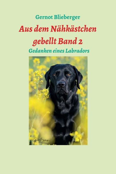 Produktbild: Aus dem N&auml;hk&auml;stchen gebellt Band 2