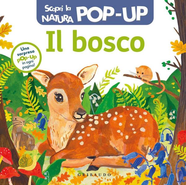 Produktbild: Il bosco. Scopri la natura pop up
