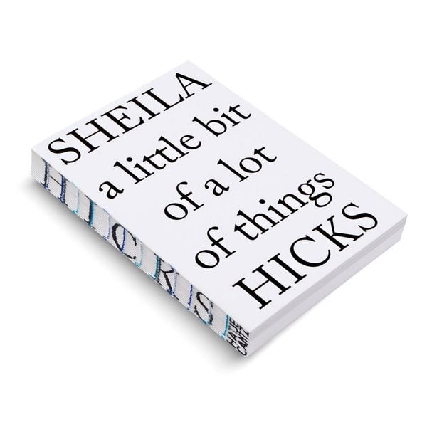 Produktbild: Sheila Hicks. a little bit of a lot of things