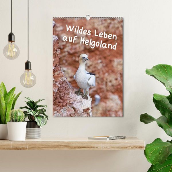 Produktbild: Wildes Leben auf Helgoland (Wandkalender 2026 DIN A3 hoch), CALVENDO Monatskalender