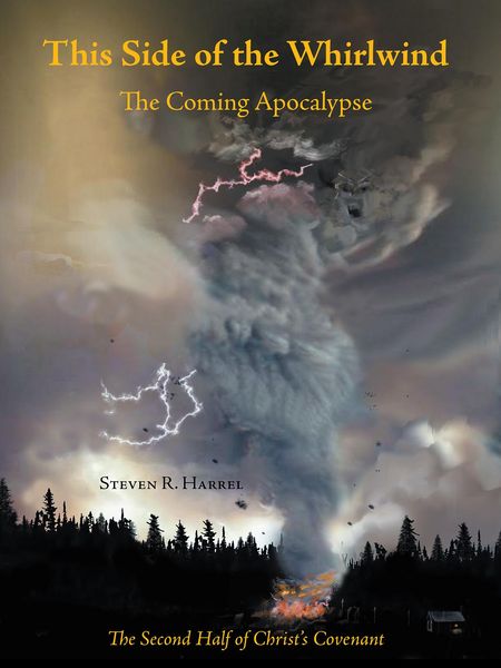 Produktbild: This Side of the Whirlwind