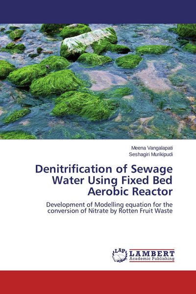 Produktbild: Denitrification of Sewage Water Using Fixed Bed Aerobic Reactor