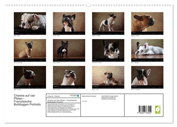Produktbild: Charme auf vier Pfoten - Franz&ouml;sische Bulldoggen Portraits (hochwertiger Premium Wandkalender 2026 DIN A2 quer), Kunstdruck in Hochglanz