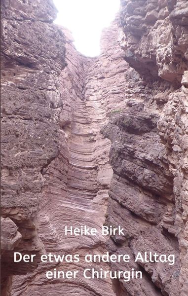 Der etwas andere Alltag einer Chirurgin, Taschenbuch von Heike Birk, Tredition, 9783347313798