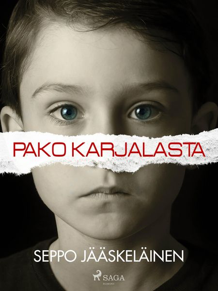 Produktbild: Pako Karjalasta