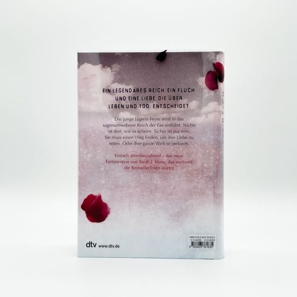 Produktbild: Dornen und Rosen / Das Reich der sieben H&ouml;fe Band 1