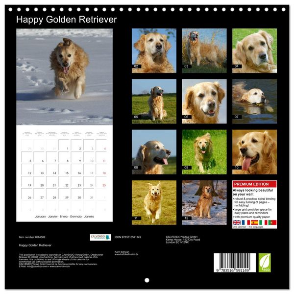 Produktbild: Happy Golden Retriever (Wall Calendar 2026 12 &times; 12 Inch) CALVENDO 12 Month Wall Calendar