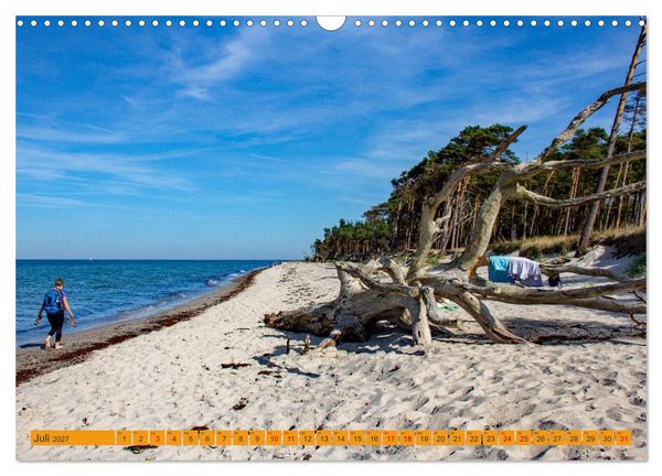 Produktbild: Wilder Dar&szlig;er Weststrand (Wandkalender 2027 DIN A3 quer), CALVENDO Monatskalender