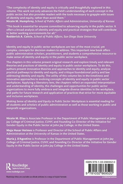Produktbild: Making Sense of Identity and Equity in Public Sector Workplaces