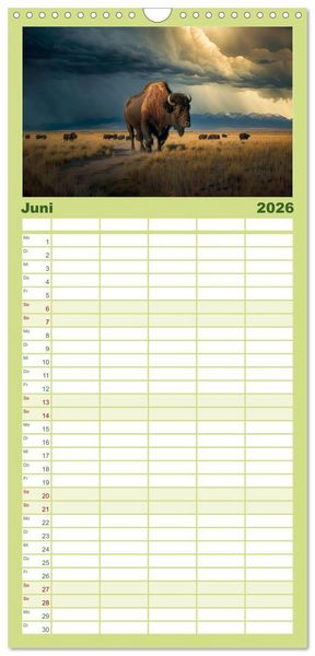 Produktbild: Familienplaner 2026 - Amerikanischer Bison mit 5 Spalten (Wandkalender, 21 x 45 cm) CALVENDO