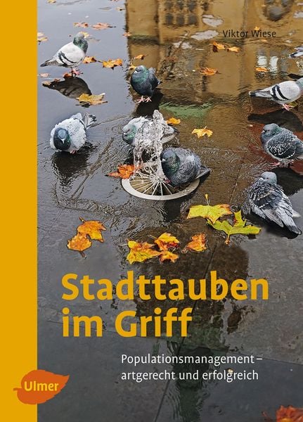 Stadttauben im Griff, Taschenbuch von Viktor Wiese, Verlag Eugen Ulmer, 978-3-8001-0843-5