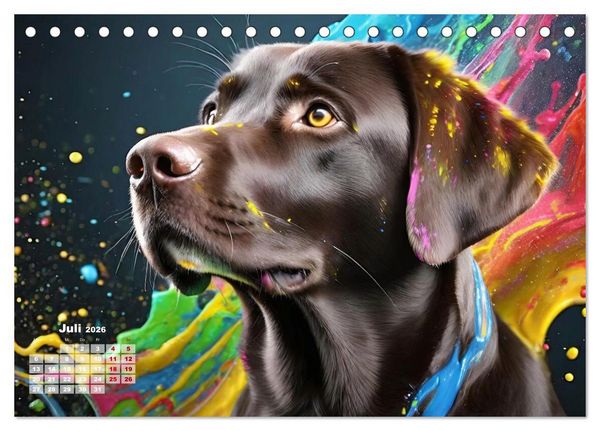 Produktbild: Splash - Hunde im Farbrausch (Tischkalender 2026 DIN A5 quer), CALVENDO Monatskalender