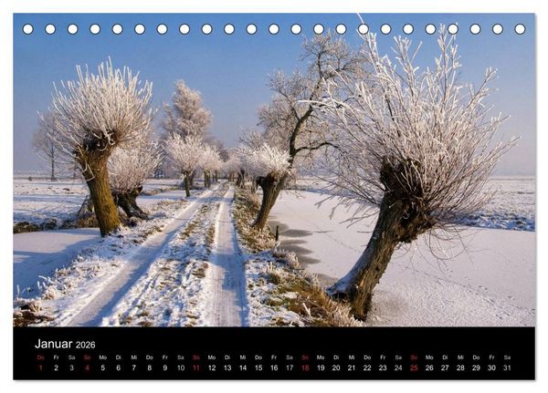 Produktbild: HOLL&Auml;NDISCHE LANDSCHAFTEN: ALBLASSERWAARD 2026 (Tischkalender 2026 DIN A5 quer), CALVENDO Monatskalender