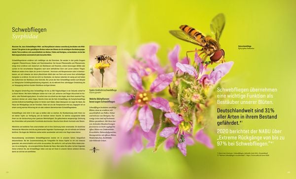 Produktbild: Mein Artenretter Garten