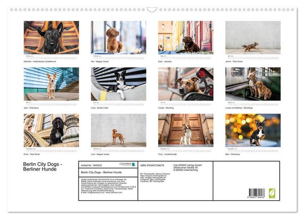 Produktbild: Berlin City Dogs - Berliner Hunde (Wandkalender 2026 DIN A2 quer), CALVENDO Monatskalender