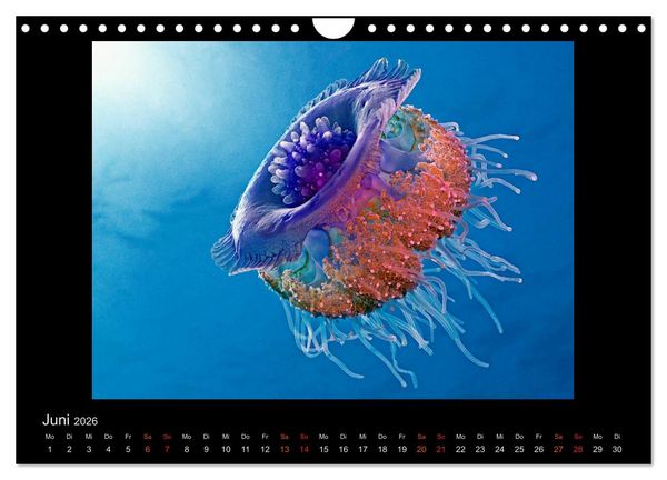 Produktbild: Ocean-Art / CH-Version (Wandkalender 2026 DIN A4 quer), CALVENDO Monatskalender