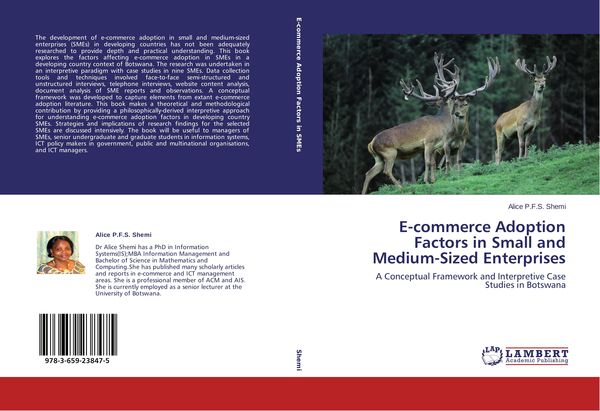 Produktbild: E-commerce Adoption Factors in Small and Medium-Sized Enterprises
