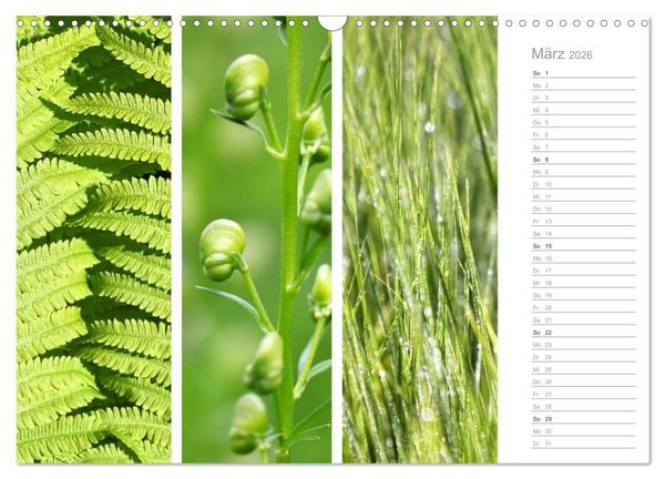 Produktbild: Nat&uuml;rlicher Dreiklang (Wandkalender 2026 DIN A3 quer), CALVENDO Monatskalender