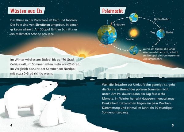 Produktbild: Pixi Wissen 120: Arktis und Antarktis