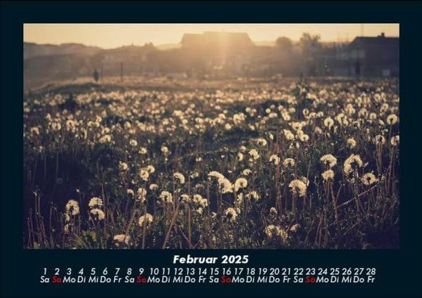 Produktbild: Blumenkalender 2025 Fotokalender DIN A5