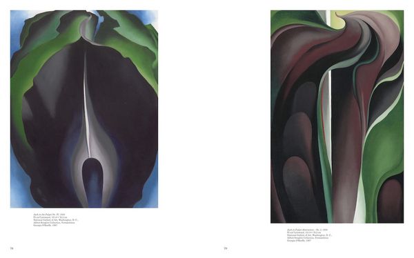 Produktbild: Georgia O'Keeffe