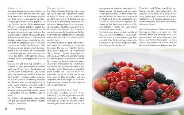 Produktbild: Smoothies, Shakes & Co.