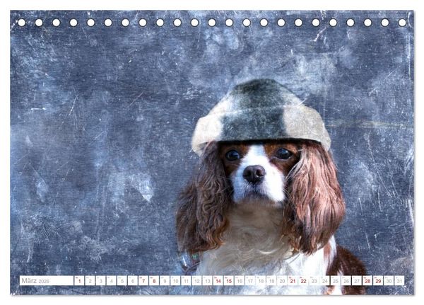 Produktbild: Hund tr&auml;gt Hut (Tischkalender 2026 DIN A5 quer), CALVENDO Monatskalender