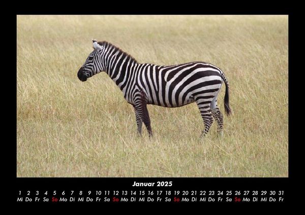 Produktbild: Zebrazauber 2025 Fotokalender DIN A3