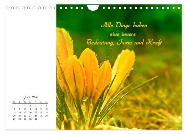 Produktbild: Innehalten in der Natur ... mit Weisheiten und Sprichworten der Indianer (Wandkalender 2026 DIN A4 quer), CALVENDO Monatskalender