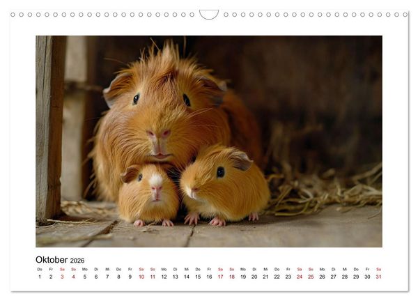 Produktbild: Mehr Schwein mit Meerschwein (Wandkalender 2026 DIN A3 quer), CALVENDO Monatskalender