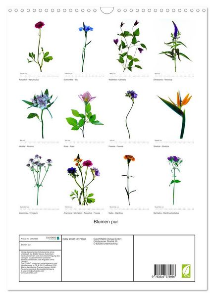 Produktbild: Blumen pur (Wandkalender 2026 DIN A3 hoch), CALVENDO Monatskalender