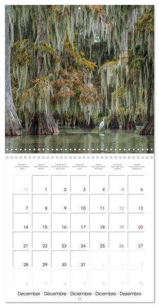 Produktbild: Mississippi Delta, Magic Swamps (Wall Calendar 2026 12 &times; 12 Inch) CALVENDO 12 Month Wall Calendar