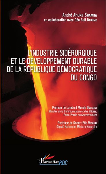 Produktbild: Industrie sid&eacute;rurgique et le d&eacute;veloppement durable de la R&eacute;publique d&eacute;mocratique du Congo