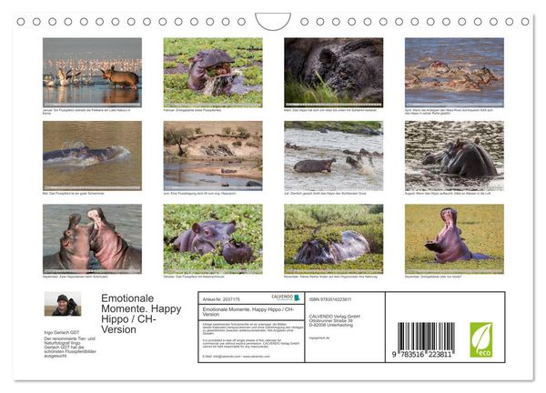 Produktbild: Emotionale Momente. Happy Hippo / CH-Version (Wandkalender 2026 DIN A4 quer), CALVENDO Monatskalender